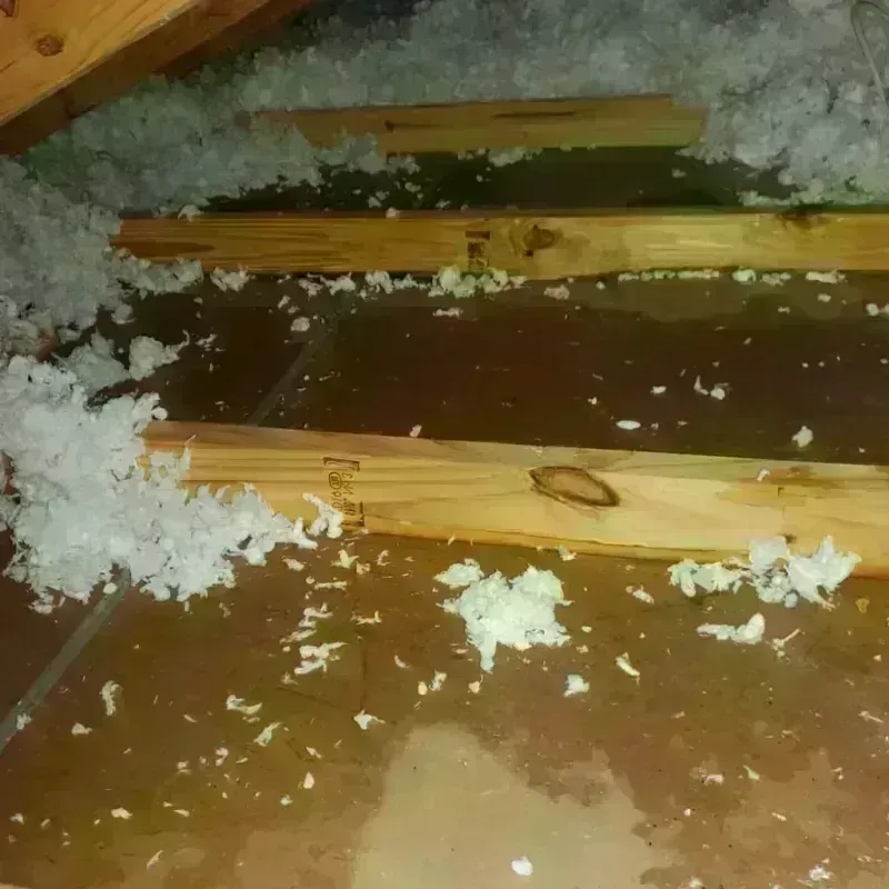 Attic Water Damage in Rison, AR