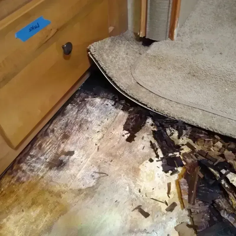 Best Wood Floor Water Damage Service in Rison, AR